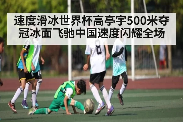 速度滑冰世界杯高亭宇500米夺冠冰面飞驰中国速度闪耀全场